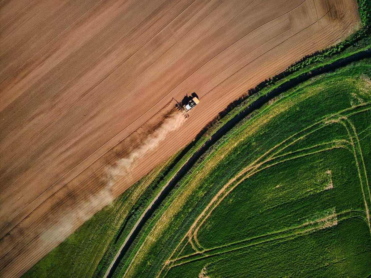 Vista aérea de campo agrícola brasileiro ao entardecer